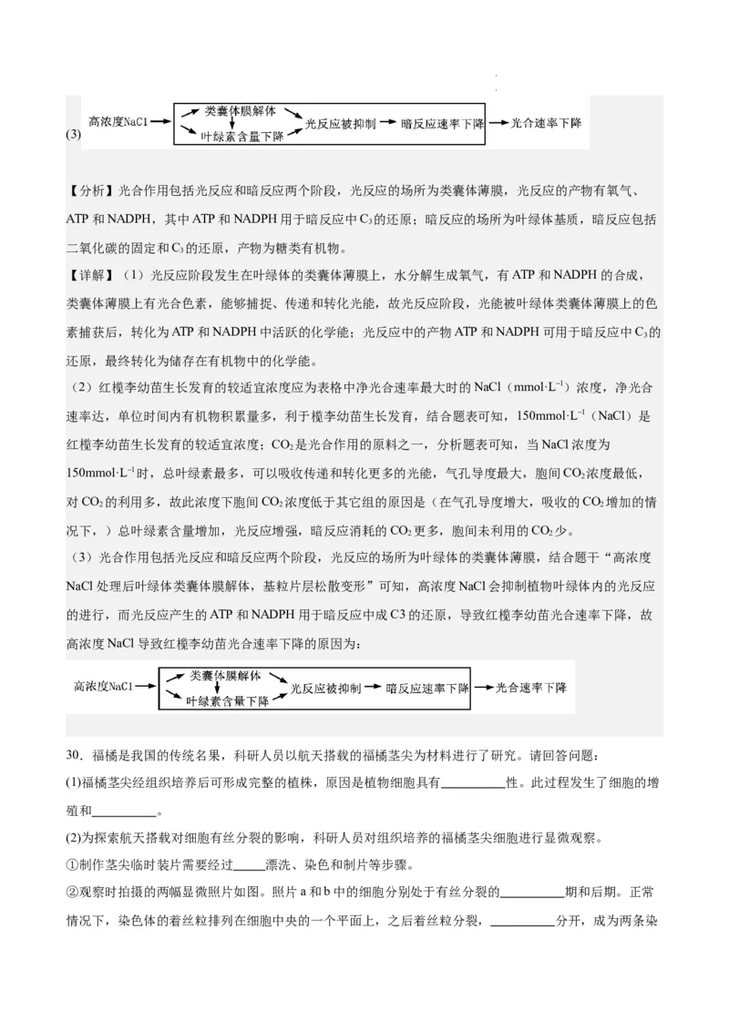 期末模拟卷01（全解全析）（人教版2019）_E015高中全科试卷_生物试题_必修1_4.期末试卷_高一生物期末模拟卷01（人教版2019）2023-2024学年高中生物上学期期末模拟考试