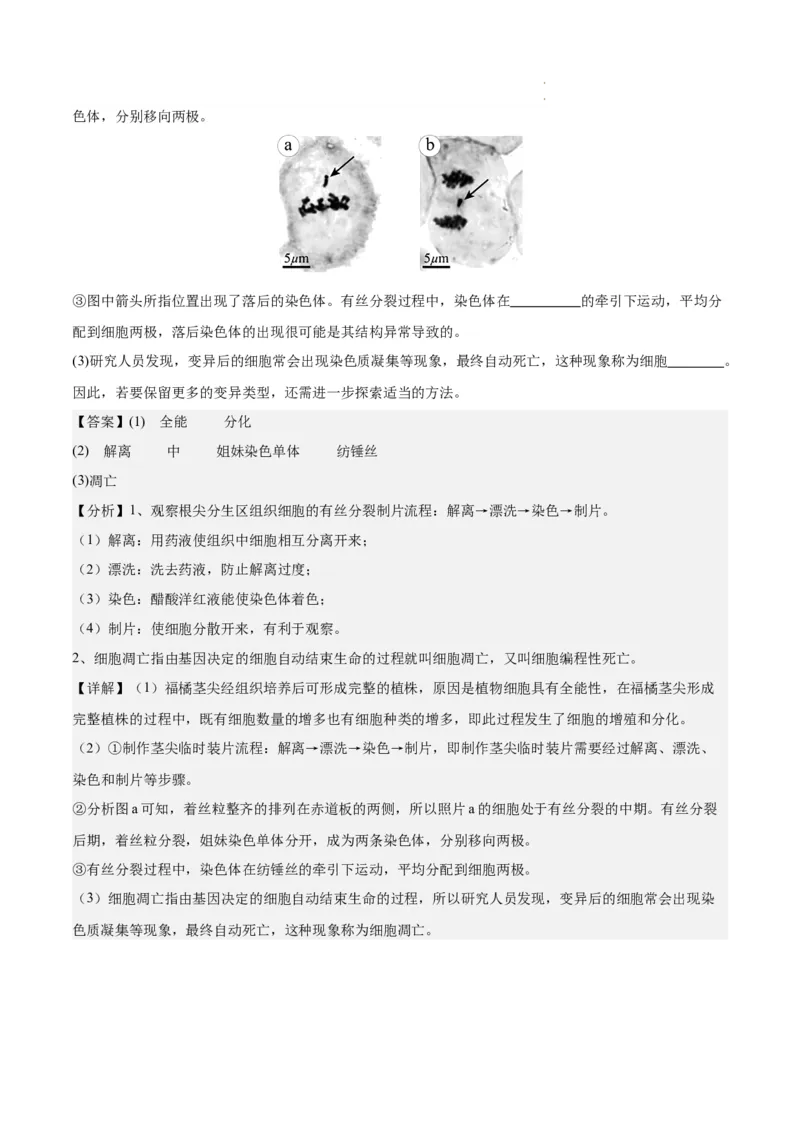 期末模拟卷01（全解全析）（人教版2019）_E015高中全科试卷_生物试题_必修1_4.期末试卷_高一生物期末模拟卷01（人教版2019）2023-2024学年高中生物上学期期末模拟考试