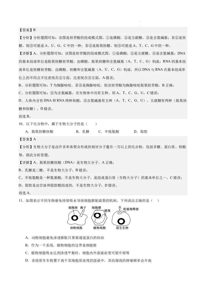 期末模拟卷01（全解全析）（人教版2019）_E015高中全科试卷_生物试题_必修1_4.期末试卷_高一生物期末模拟卷01（人教版2019）2023-2024学年高中生物上学期期末模拟考试