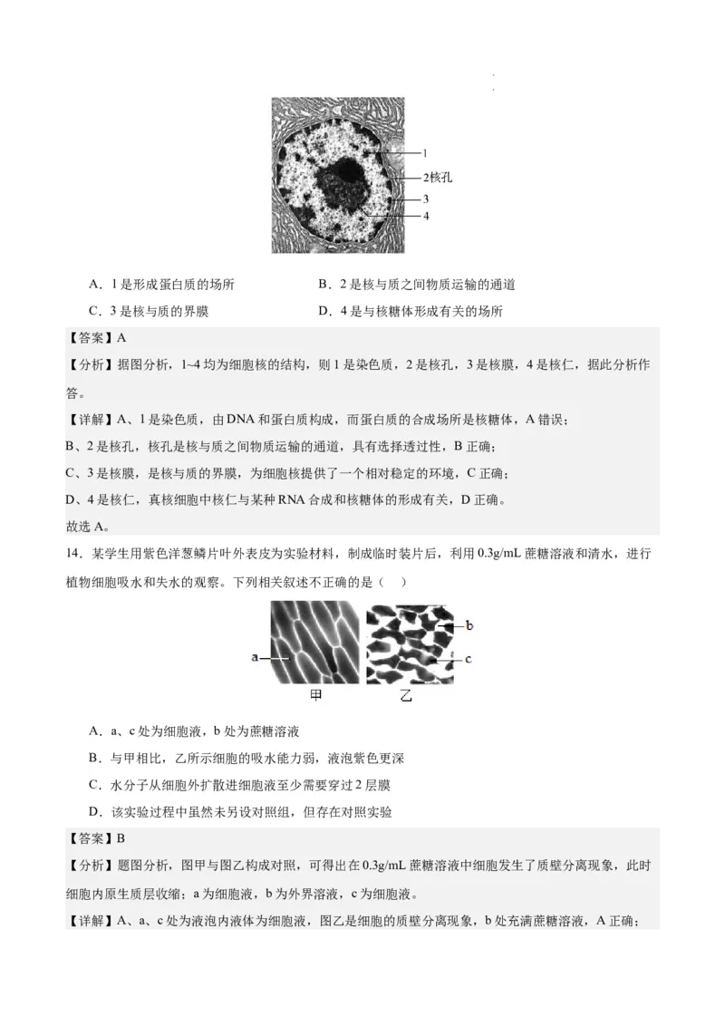 期末模拟卷01（全解全析）（人教版2019）_E015高中全科试卷_生物试题_必修1_4.期末试卷_高一生物期末模拟卷01（人教版2019）2023-2024学年高中生物上学期期末模拟考试