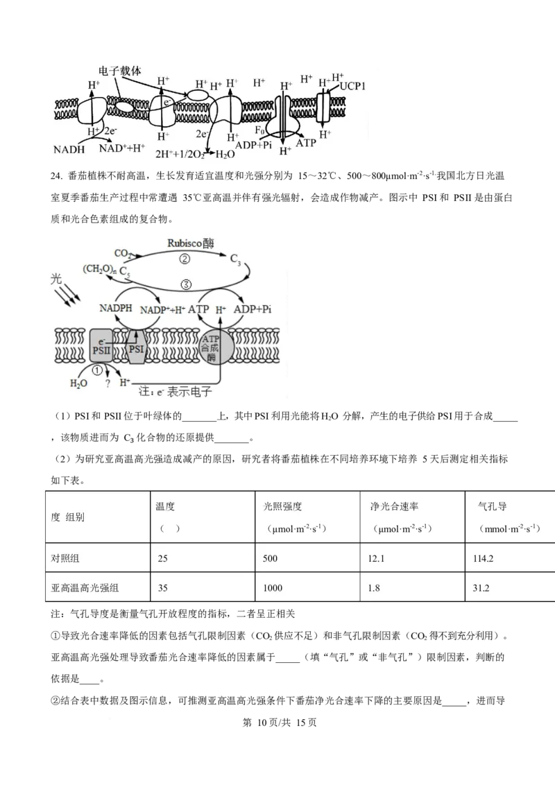 吉林省延边朝鲜族自治州2025-2026学年高一上学期期末学业质量检测生物试卷（含答案）_2024-2025高一（7-7月题库）_2026年1月高一