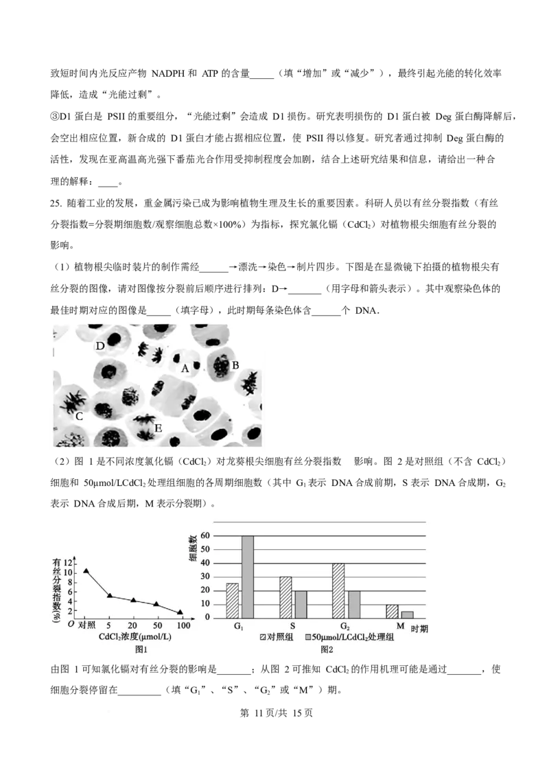 吉林省延边朝鲜族自治州2025-2026学年高一上学期期末学业质量检测生物试卷（含答案）_2024-2025高一（7-7月题库）_2026年1月高一