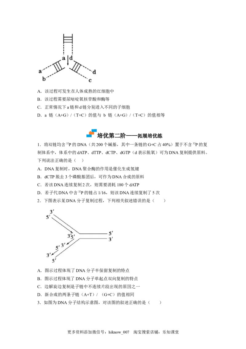 3.3DNA的复制（原卷版）_E015高中全科试卷_生物试题_必修2_2.同步练习_2、课后培优练2023_3.3+DNA的复制-2022-2023学年高一生物课后培优分级练（人教版2019必修2）