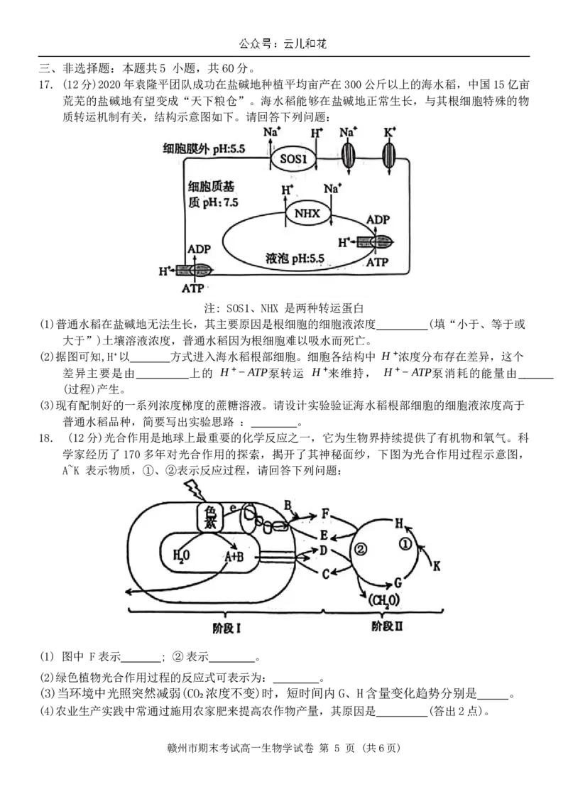 江西省赣州市2023-2024学年高一下学期7月期末生物试题_2024-2025高一（7-7月题库）_2024年7月试卷_0729江西省赣州市2023-2024学年高一下学期期末考试