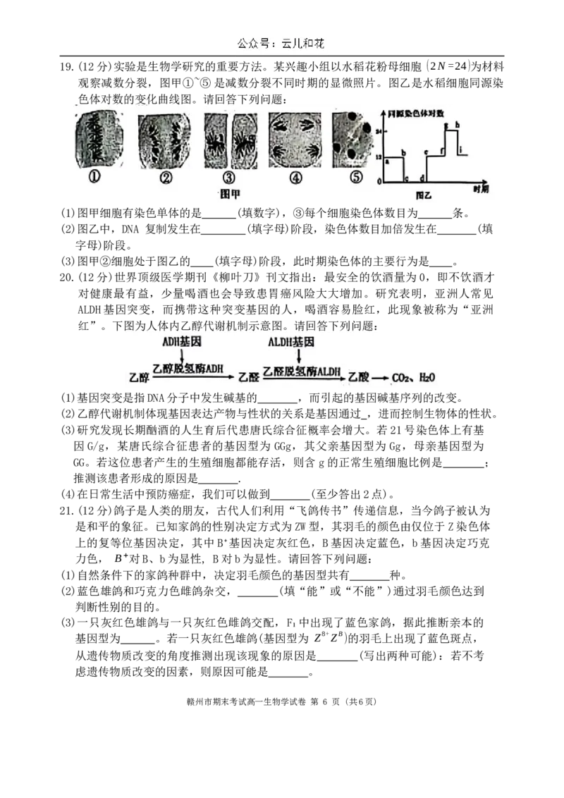 江西省赣州市2023-2024学年高一下学期7月期末生物试题_2024-2025高一（7-7月题库）_2024年7月试卷_0729江西省赣州市2023-2024学年高一下学期期末考试