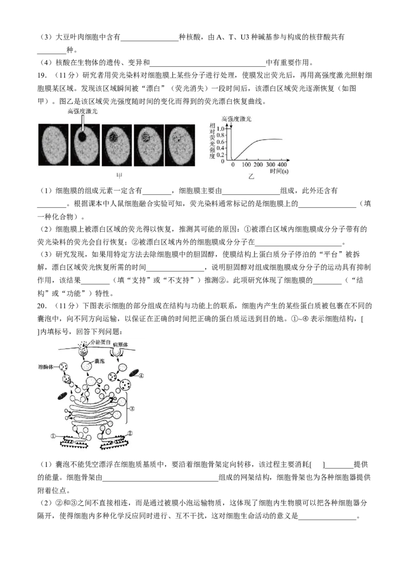 安徽省蚌埠市A层高中2024-2025学年高一上学期11月期中考试生物Word版含答案_2024-2025高一（7-7月题库）_2024年11月试卷_1125安徽省蚌埠市A层高中2024-2025学年高一上学期11月期中考试