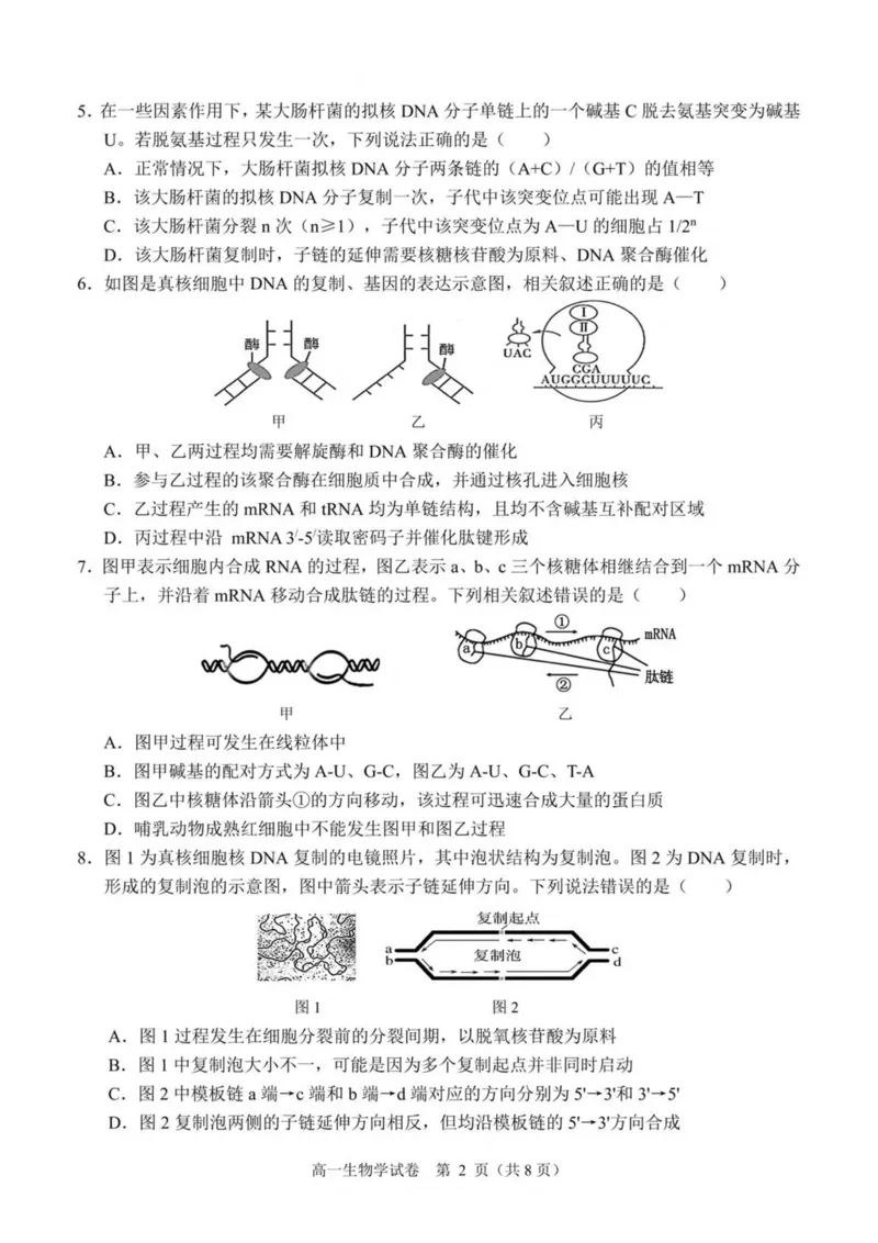 广西南宁市部分学校2024-2025学年高一下学期6月期末考试生物PDF版含解析_2024-2025高一（7-7月题库）_2025年7月_250704广西南宁市部分学校2024-2025学年高一下学期6月期末考试