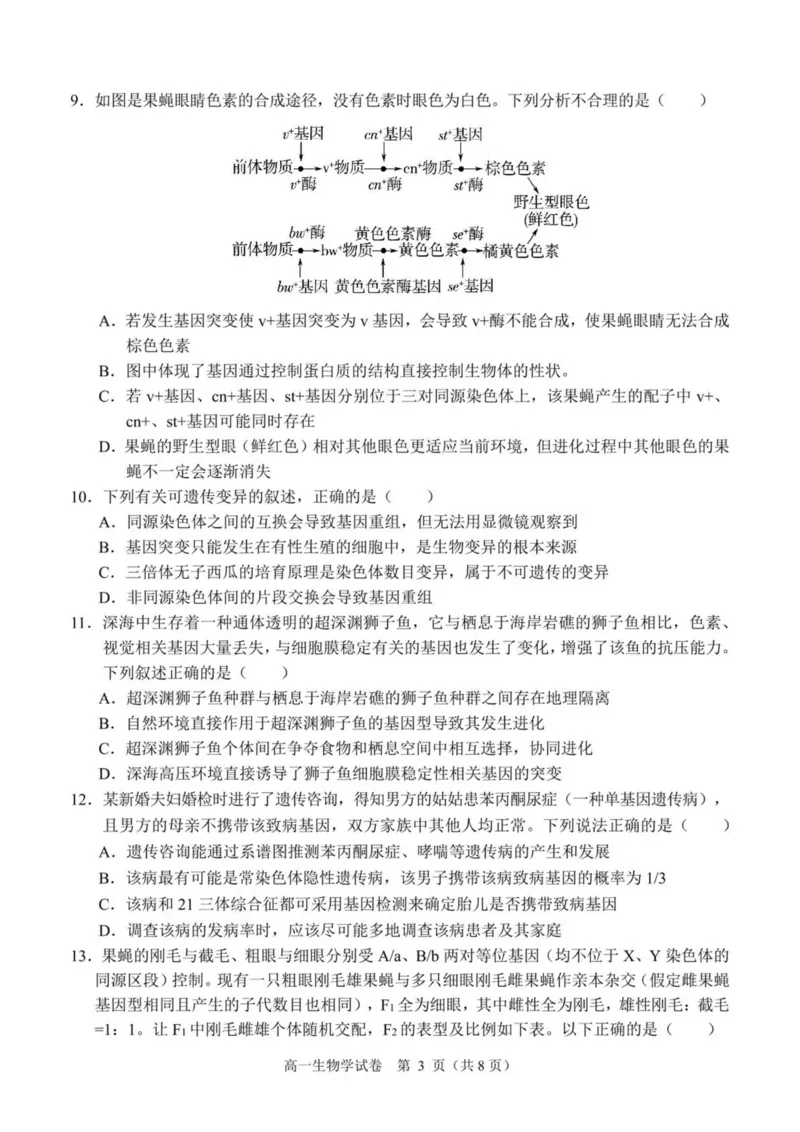 广西南宁市部分学校2024-2025学年高一下学期6月期末考试生物PDF版含解析_2024-2025高一（7-7月题库）_2025年7月_250704广西南宁市部分学校2024-2025学年高一下学期6月期末考试