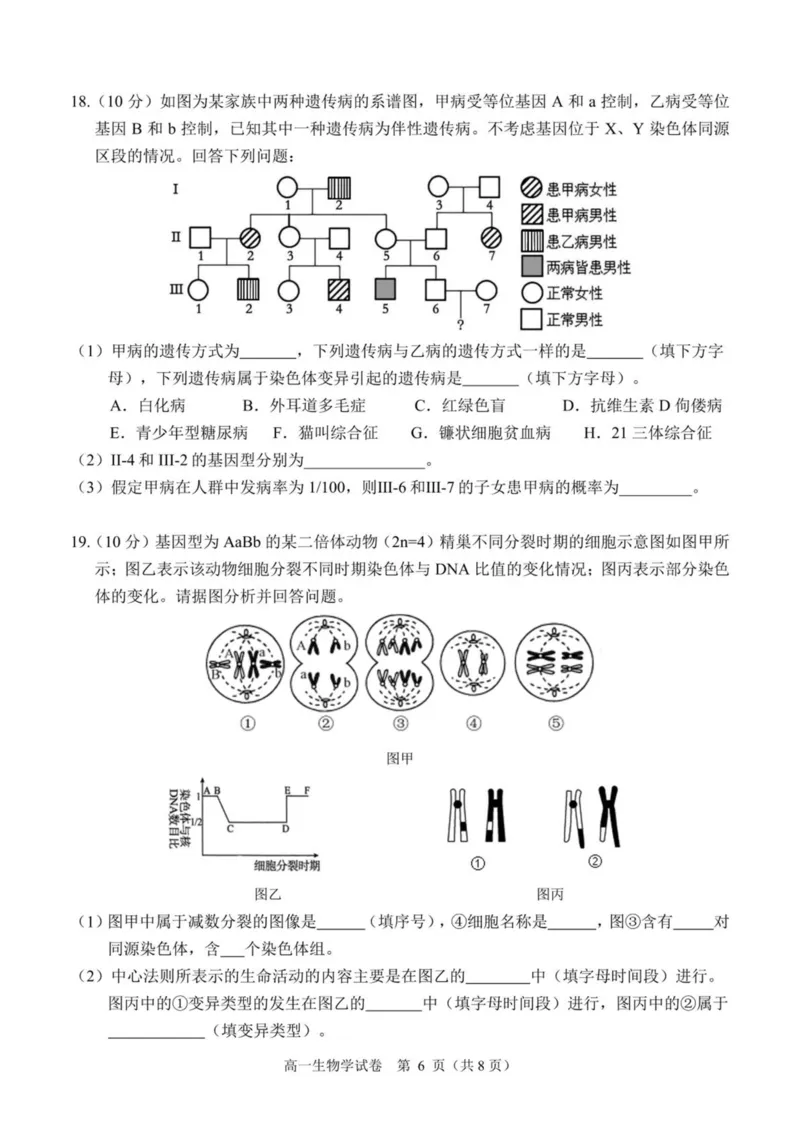 广西南宁市部分学校2024-2025学年高一下学期6月期末考试生物PDF版含解析_2024-2025高一（7-7月题库）_2025年7月_250704广西南宁市部分学校2024-2025学年高一下学期6月期末考试