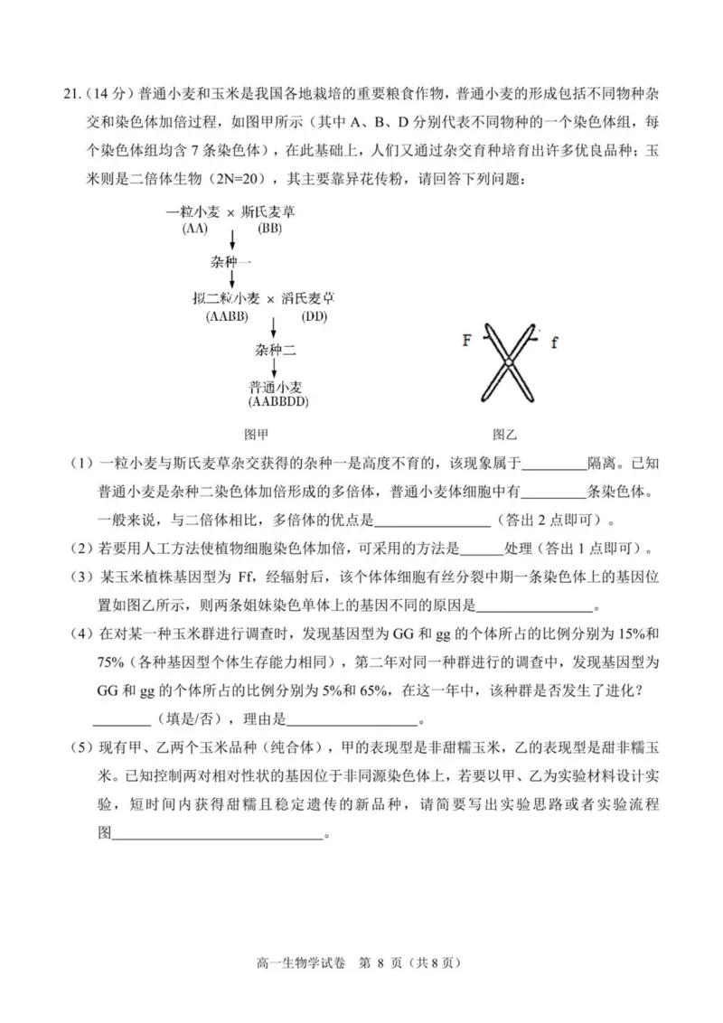 广西南宁市部分学校2024-2025学年高一下学期6月期末考试生物PDF版含解析_2024-2025高一（7-7月题库）_2025年7月_250704广西南宁市部分学校2024-2025学年高一下学期6月期末考试
