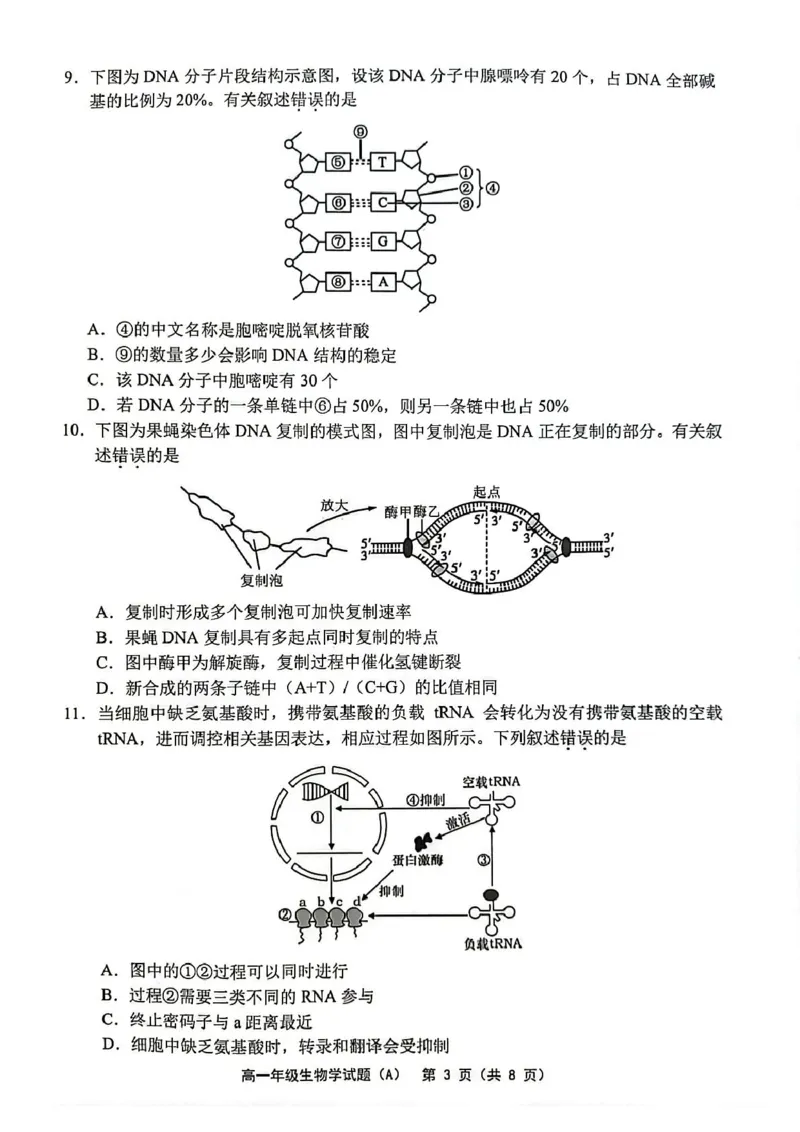 江苏省连云港市赣榆区2024-2025学年高一下学期4月期中考试生物PDF版含答案_2024-2025高一（7-7月题库）_2025年05月试卷_0513江苏省连云港市赣榆区2024-2025学年高一下学期4月期中考试
