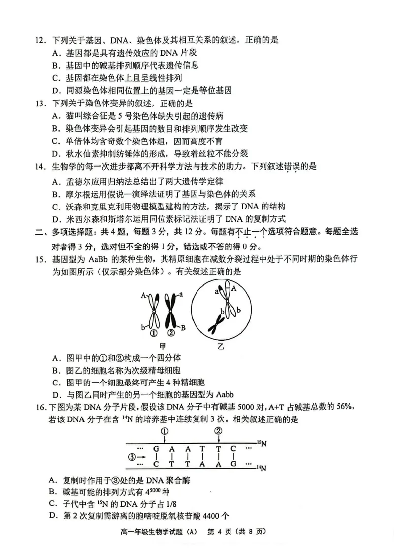 江苏省连云港市赣榆区2024-2025学年高一下学期4月期中考试生物PDF版含答案_2024-2025高一（7-7月题库）_2025年05月试卷_0513江苏省连云港市赣榆区2024-2025学年高一下学期4月期中考试