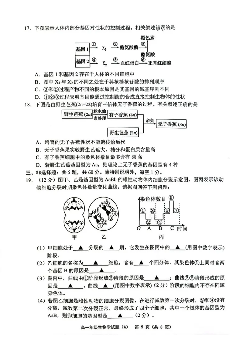 江苏省连云港市赣榆区2024-2025学年高一下学期4月期中考试生物PDF版含答案_2024-2025高一（7-7月题库）_2025年05月试卷_0513江苏省连云港市赣榆区2024-2025学年高一下学期4月期中考试