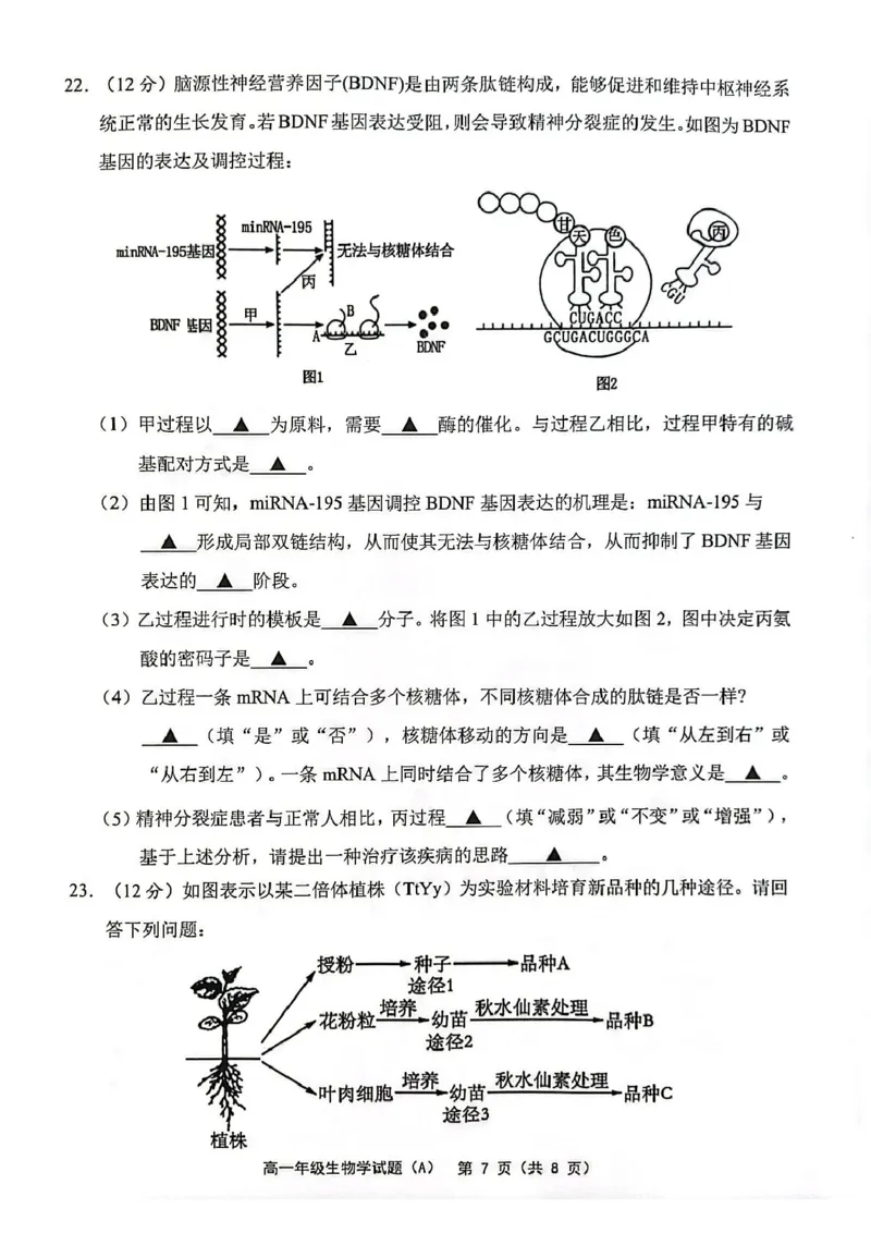 江苏省连云港市赣榆区2024-2025学年高一下学期4月期中考试生物PDF版含答案_2024-2025高一（7-7月题库）_2025年05月试卷_0513江苏省连云港市赣榆区2024-2025学年高一下学期4月期中考试