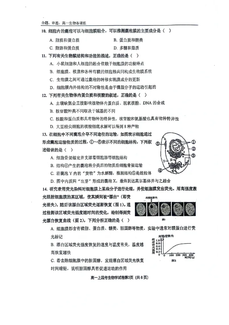 南宁二中2024年秋季期中高一生物试卷_2024-2025高一（7-7月题库）_2024年11月试卷_1111广西南宁二中2024-2025学年高一秋季期中考试
