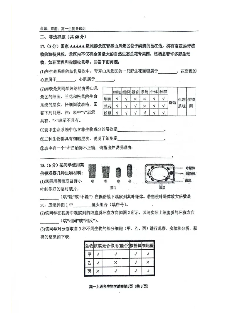 南宁二中2024年秋季期中高一生物试卷_2024-2025高一（7-7月题库）_2024年11月试卷_1111广西南宁二中2024-2025学年高一秋季期中考试