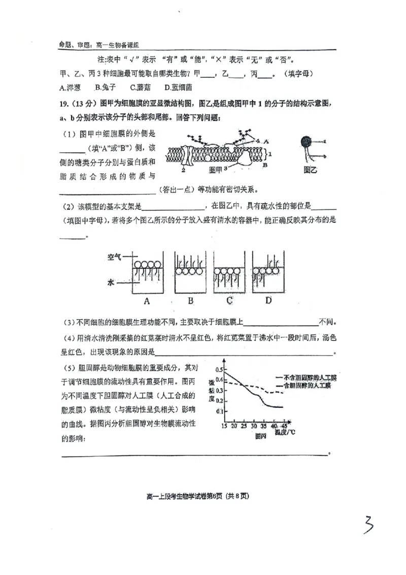 南宁二中2024年秋季期中高一生物试卷_2024-2025高一（7-7月题库）_2024年11月试卷_1111广西南宁二中2024-2025学年高一秋季期中考试