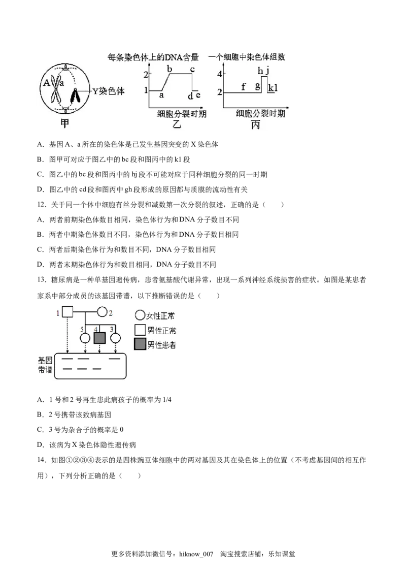 期末押题02-高一生物下学期期末专项复习（人教版2019必修2）（原卷版）_E015高中全科试卷_生物试题_必修2_4.期末试卷_期末押题02-高一生物下学期期末专项复习（人教版2019必修2）(28876187)