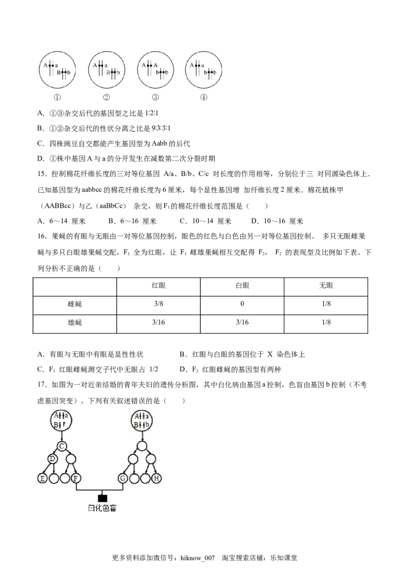 期末押题02-高一生物下学期期末专项复习（人教版2019必修2）（原卷版）_E015高中全科试卷_生物试题_必修2_4.期末试卷_期末押题02-高一生物下学期期末专项复习（人教版2019必修2）(28876187)
