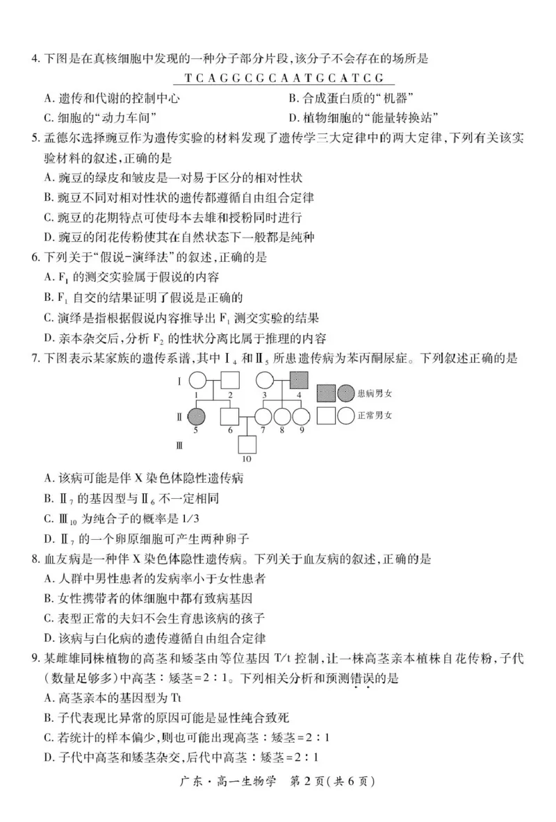 广东省2024-2025学年高一下学期4月期中联考试题生物PDF版含解析_2024-2025高一（7-7月题库）_2025年04月试卷_0429广东省2024-2025学年高一下学期4月期中联考试题