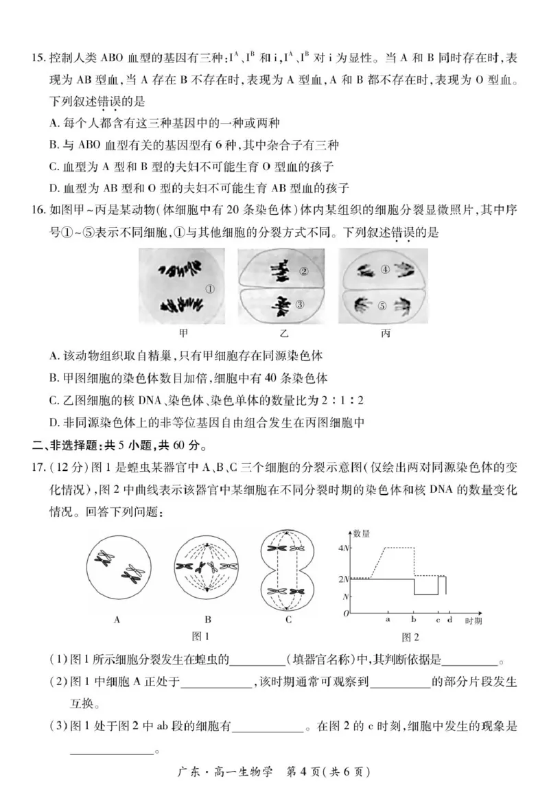 广东省2024-2025学年高一下学期4月期中联考试题生物PDF版含解析_2024-2025高一（7-7月题库）_2025年04月试卷_0429广东省2024-2025学年高一下学期4月期中联考试题