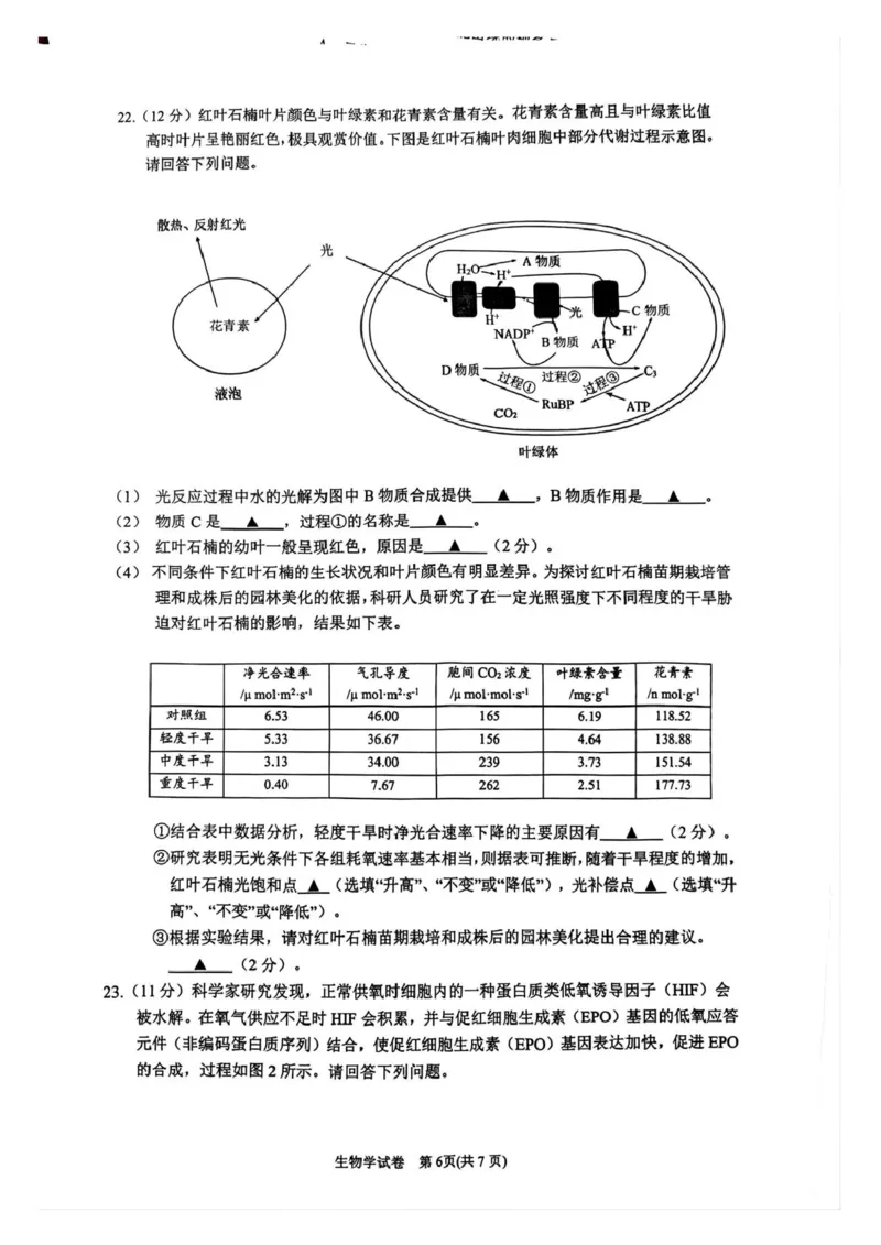 江苏省镇江市丹阳市2024-2025学年高一下学期6月期末生物试题（PDF版，含答案）_2024-2025高一（7-7月题库）_2025年7月_250709江苏省镇江市丹阳市2024-2025学年高一下学期6月期末考试