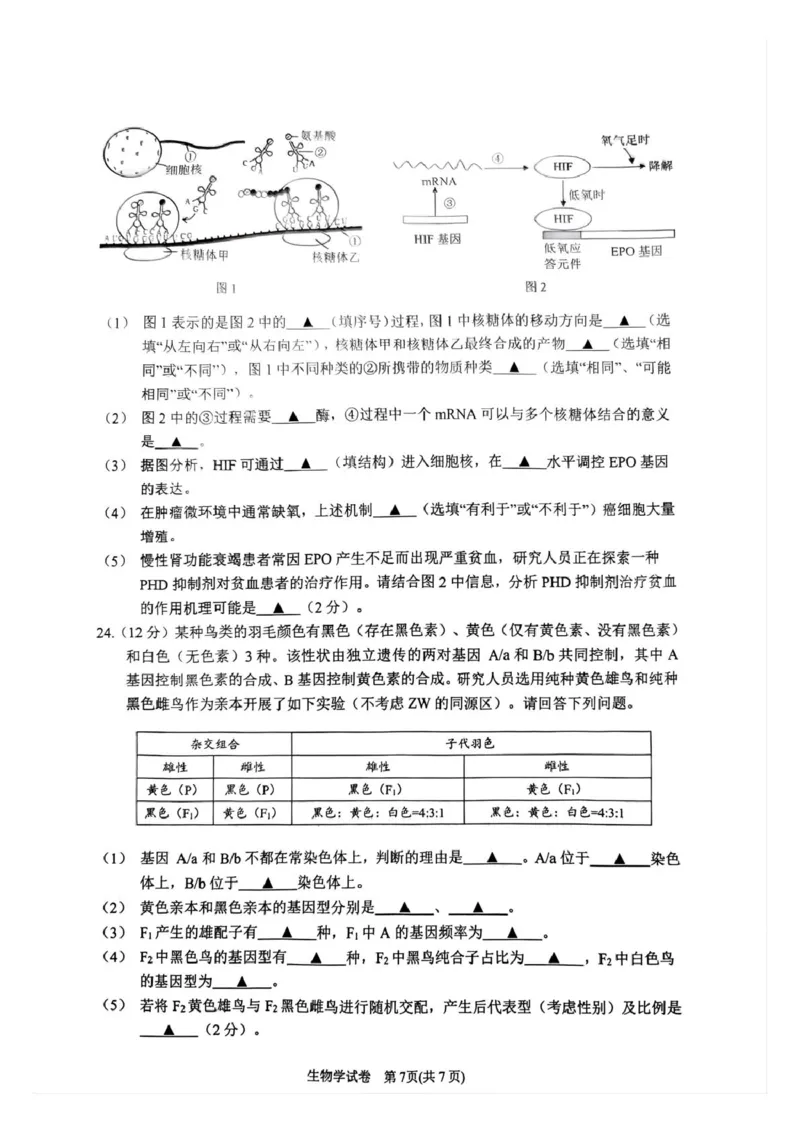 江苏省镇江市丹阳市2024-2025学年高一下学期6月期末生物试题（PDF版，含答案）_2024-2025高一（7-7月题库）_2025年7月_250709江苏省镇江市丹阳市2024-2025学年高一下学期6月期末考试