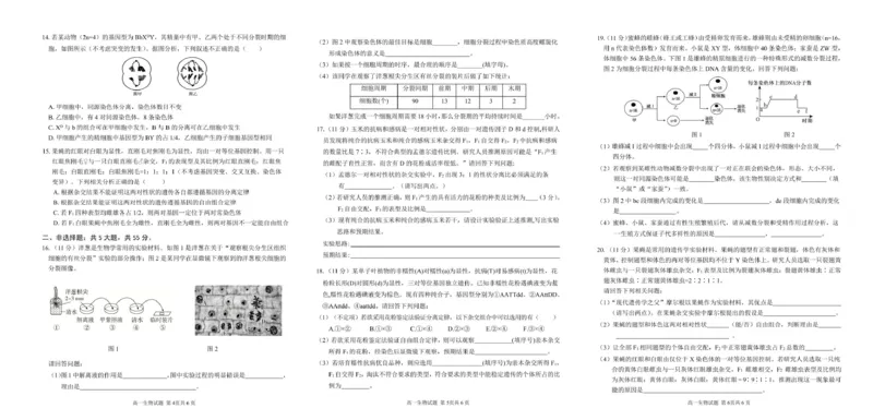 安徽师范大学附属中学2024-2025学年高一下学期4月期中考试生物PDF版含答案_2024-2025高一（7-7月题库）_2025年05月试卷_0520安徽师范大学附属中学2024-2025学年高一下学期4月期中考试