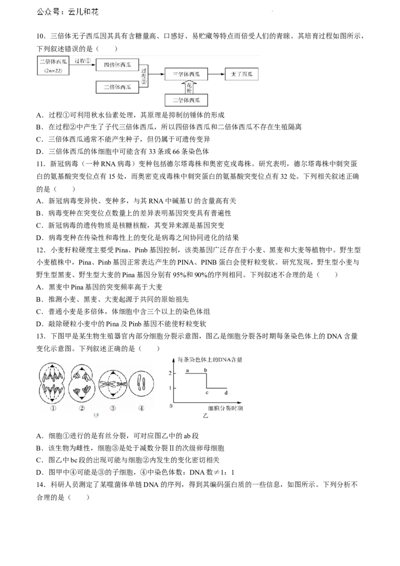 广西北海市2023-2024学年高一下学期期末教学质量检测生物试卷_2024-2025高一（7-7月题库）_2024年8月试卷_0804广西北海市2023-2024学年高一下学期期末教学质量检测(金太阳663A)