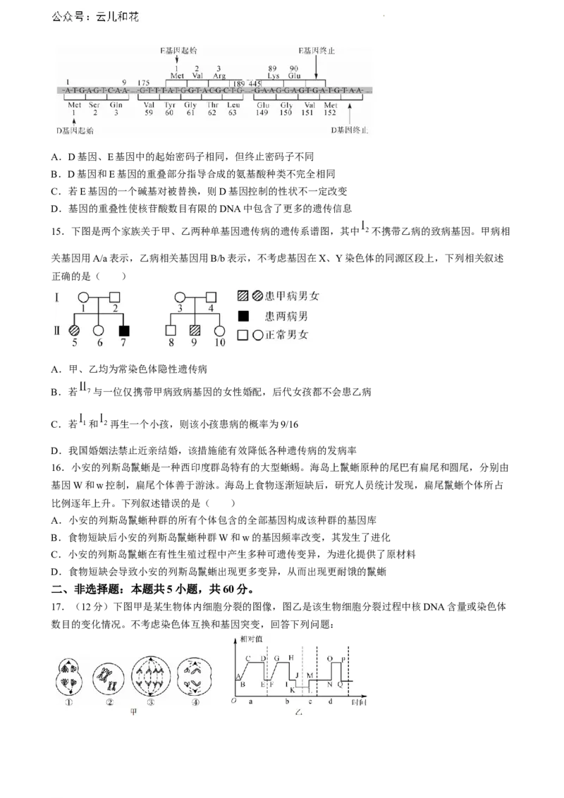 广西北海市2023-2024学年高一下学期期末教学质量检测生物试卷_2024-2025高一（7-7月题库）_2024年8月试卷_0804广西北海市2023-2024学年高一下学期期末教学质量检测(金太阳663A)