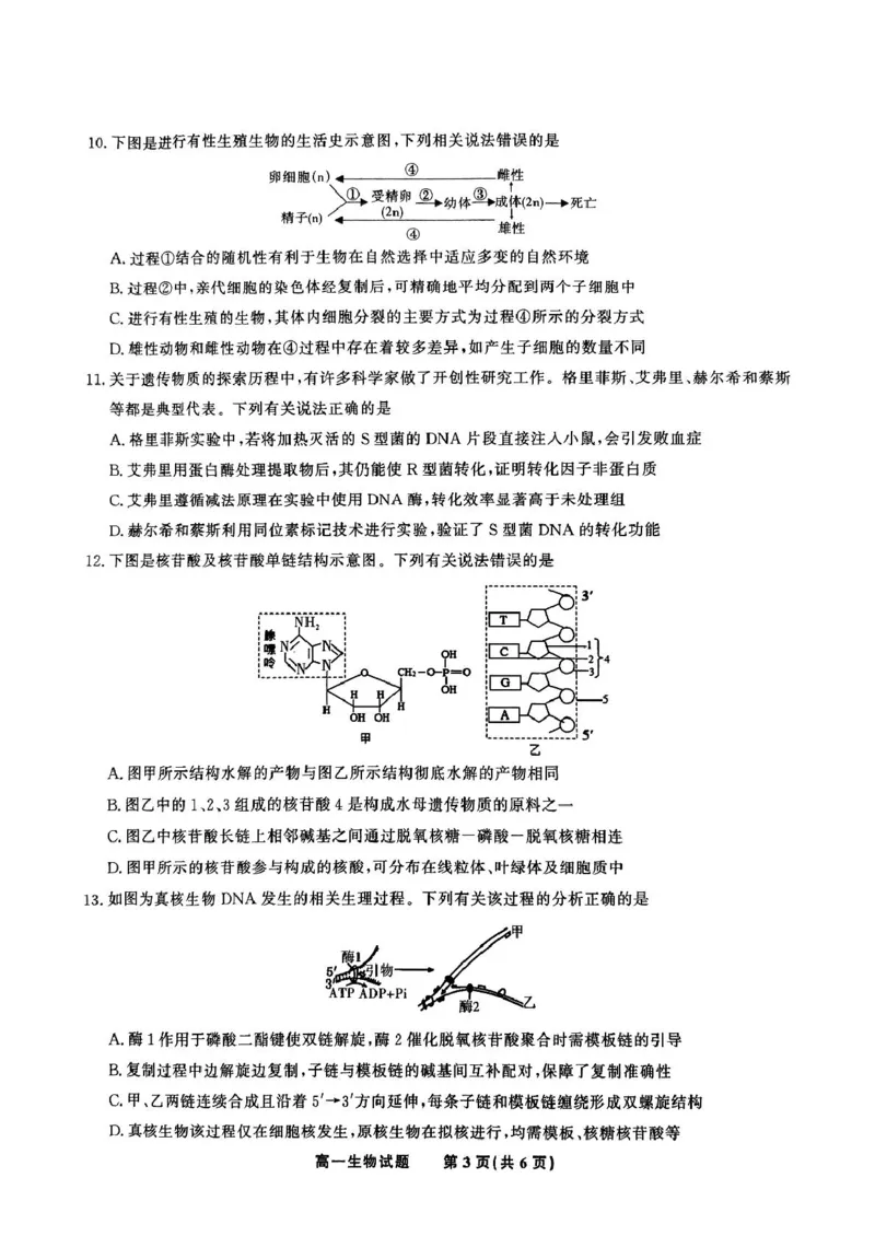安徽省皖江名校2024-2025学年高一下学期5月月考生物学试卷（扫描版，有解析）_2024-2025高一（7-7月题库）_2025年6月7.10新增_0612安徽省皖江名校2024-2025学年高一下学期5月月考试题