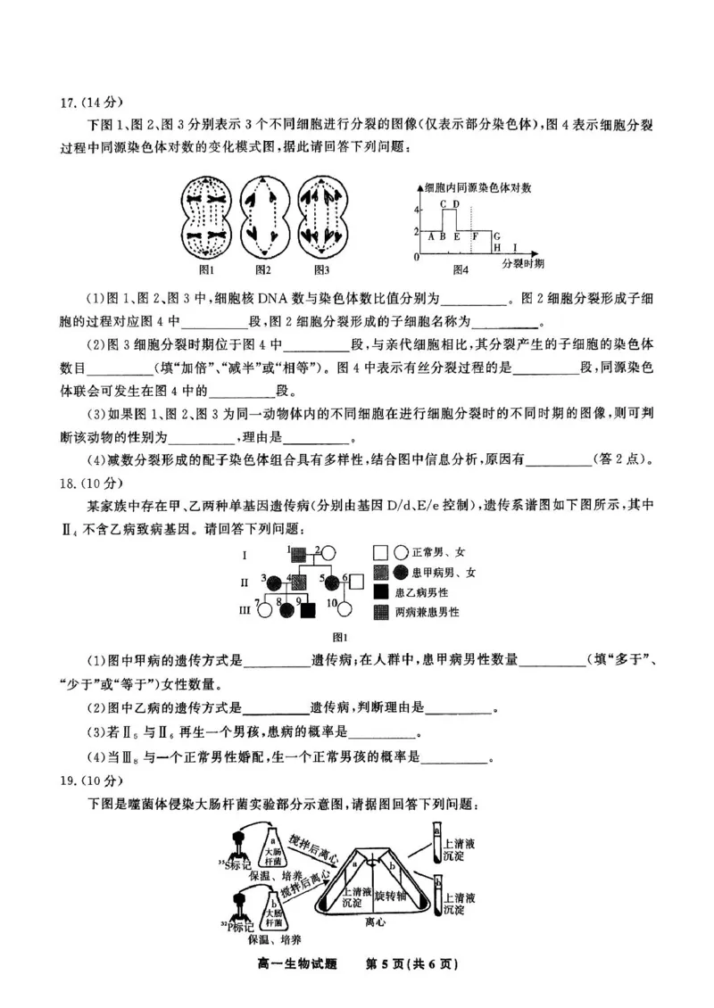 安徽省皖江名校2024-2025学年高一下学期5月月考生物学试卷（扫描版，有解析）_2024-2025高一（7-7月题库）_2025年6月7.10新增_0612安徽省皖江名校2024-2025学年高一下学期5月月考试题