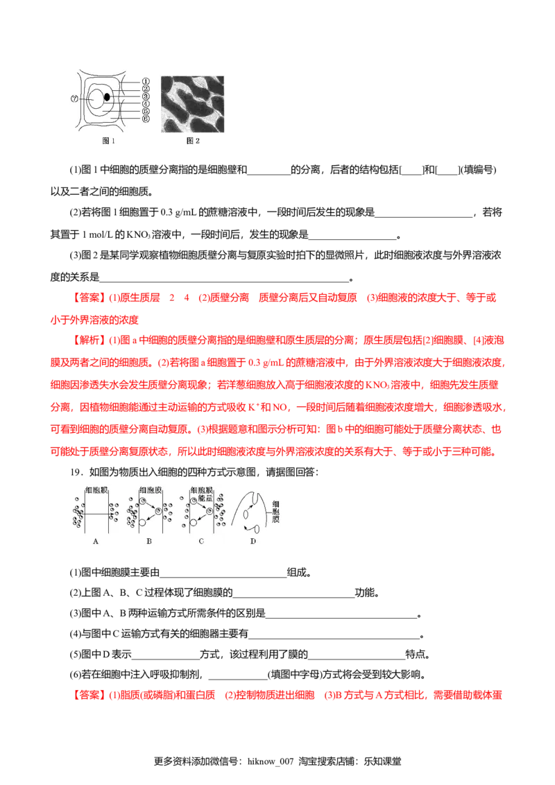 第04章细胞的物质输入和输出（A卷）（解析版）_E015高中全科试卷_生物试题_必修1_1.单元测试_3.单元测试（第三套）_第04章细胞的物质输入和输出（A卷）