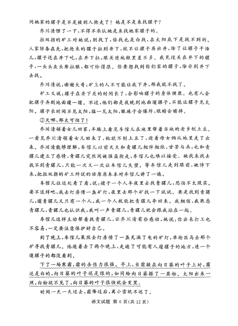 全国乙卷新课标版河南省湘豫名校联考2024届春季学期高三年级第四次模拟考试(5.15-5.16)语文试题(1)_2024年5月_025月合集