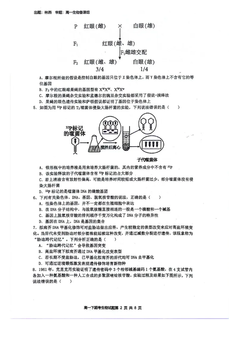 广西壮族自治区南宁市青秀区南宁市第二中学2023-2024学年高一下学期7月期末考试生物试题_2024-2025高一（7-7月题库）_2024年7月试卷