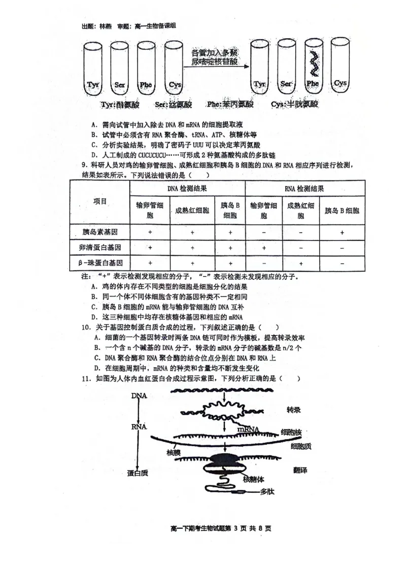 广西壮族自治区南宁市青秀区南宁市第二中学2023-2024学年高一下学期7月期末考试生物试题_2024-2025高一（7-7月题库）_2024年7月试卷