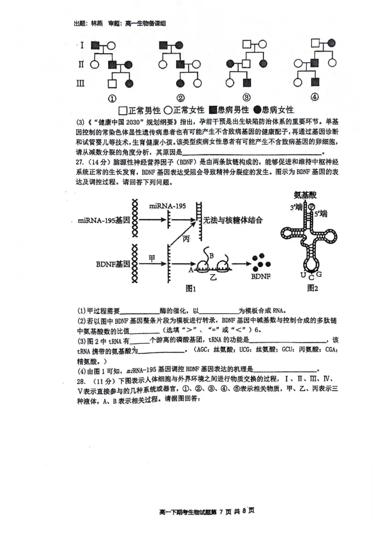 广西壮族自治区南宁市青秀区南宁市第二中学2023-2024学年高一下学期7月期末考试生物试题_2024-2025高一（7-7月题库）_2024年7月试卷