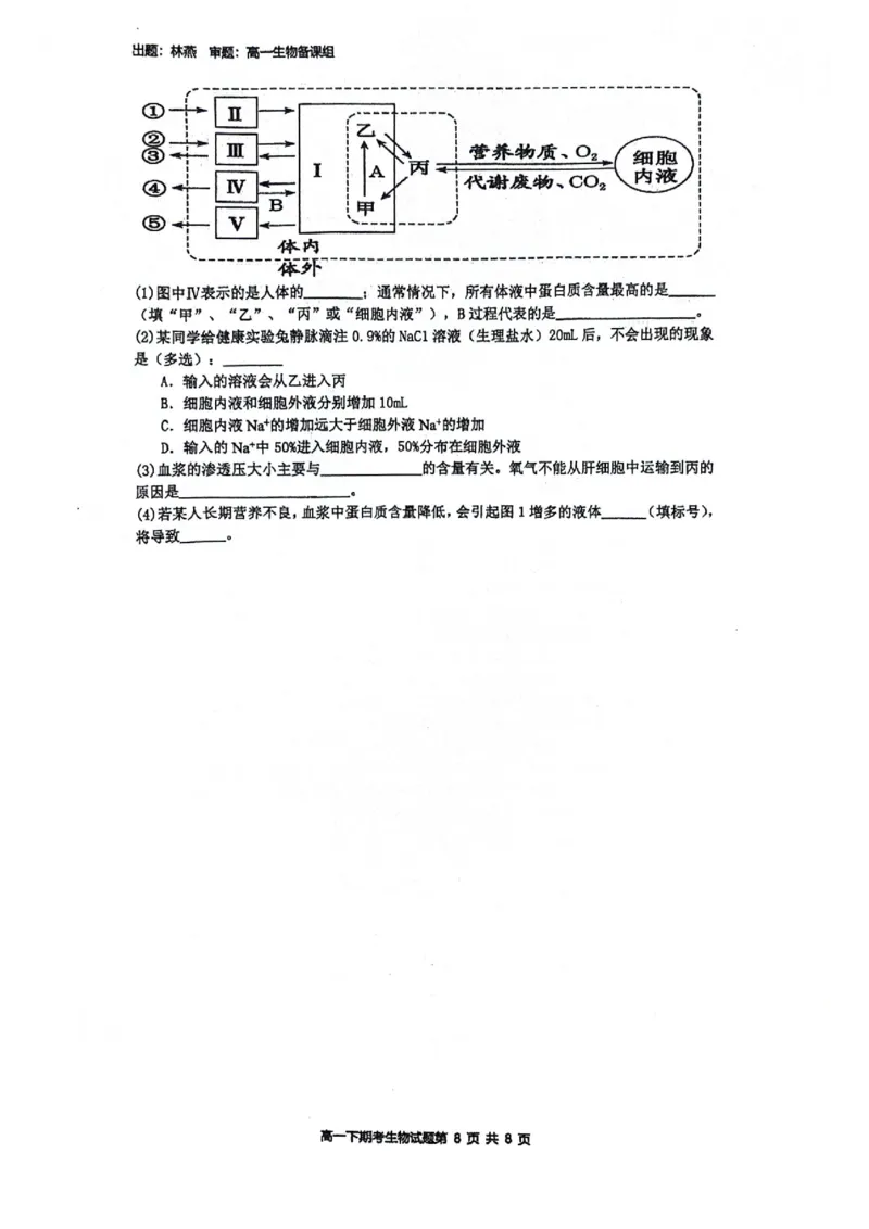 广西壮族自治区南宁市青秀区南宁市第二中学2023-2024学年高一下学期7月期末考试生物试题_2024-2025高一（7-7月题库）_2024年7月试卷