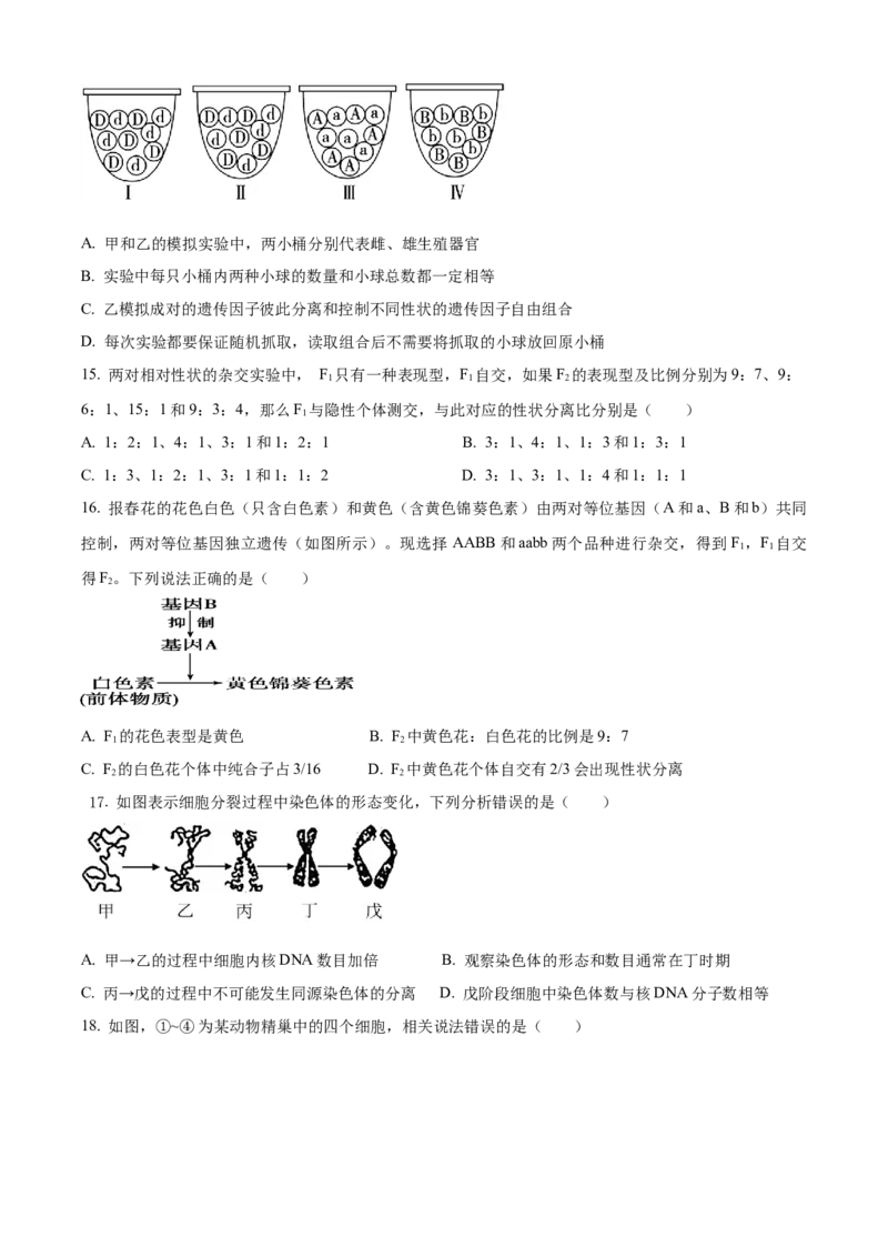 四川省内江市第一中学2024-2025学年高一下学期3月月考生物学试题（含答案）_2024-2025高一（7-7月题库）_2025年04月试卷_0428四川省内江市第一中学2024-2025学年高一下学期3月月考