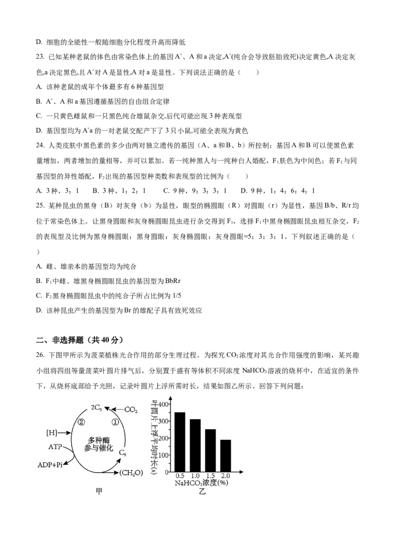 四川省内江市第一中学2024-2025学年高一下学期3月月考生物学试题（含答案）_2024-2025高一（7-7月题库）_2025年04月试卷_0428四川省内江市第一中学2024-2025学年高一下学期3月月考