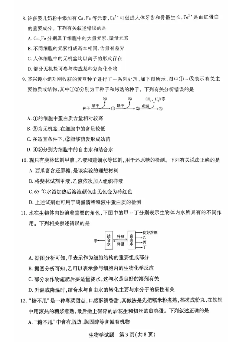 安徽省多校联盟2024-2025学年高一上学期10月月考生物试题_2024-2025高一（7-7月题库）_2024年10月试卷_1025安徽省多校联盟2024-2025学年高一上学期10月月考