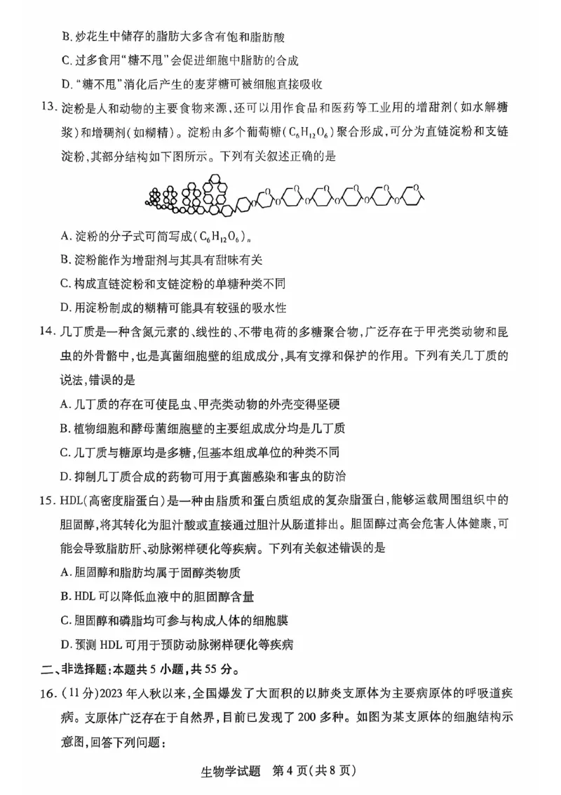 安徽省多校联盟2024-2025学年高一上学期10月月考生物试题_2024-2025高一（7-7月题库）_2024年10月试卷_1025安徽省多校联盟2024-2025学年高一上学期10月月考