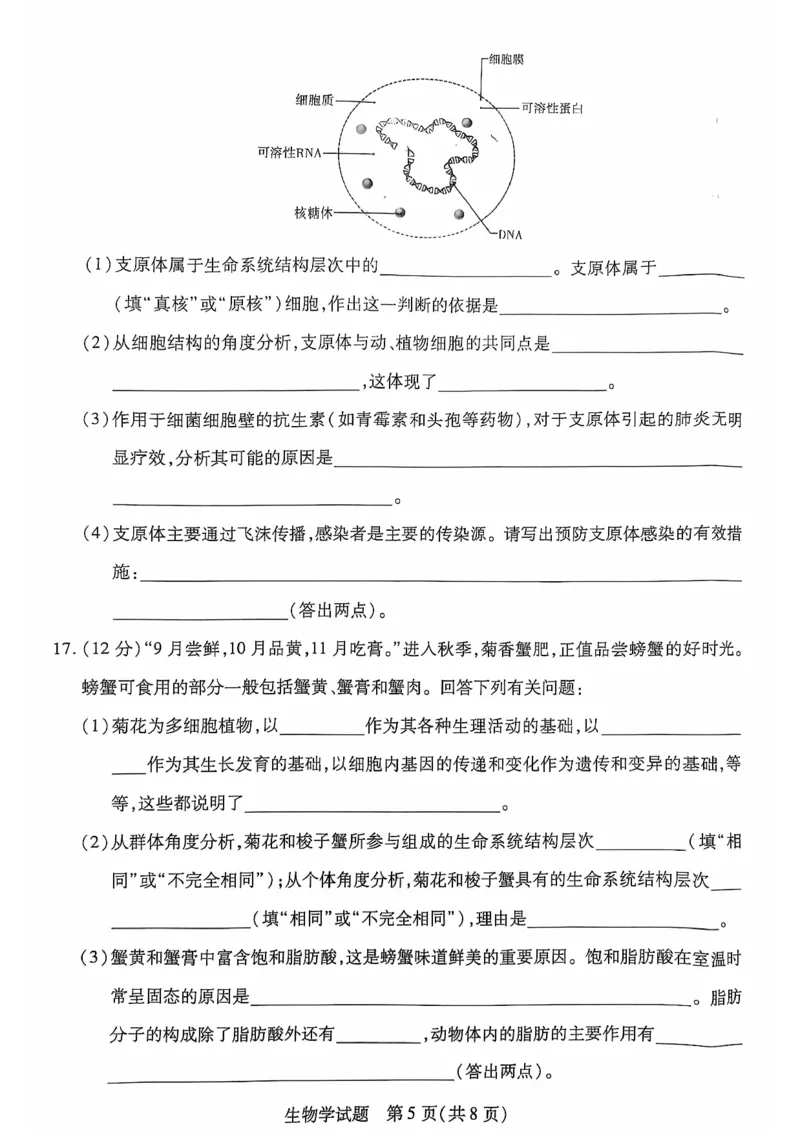 安徽省多校联盟2024-2025学年高一上学期10月月考生物试题_2024-2025高一（7-7月题库）_2024年10月试卷_1025安徽省多校联盟2024-2025学年高一上学期10月月考