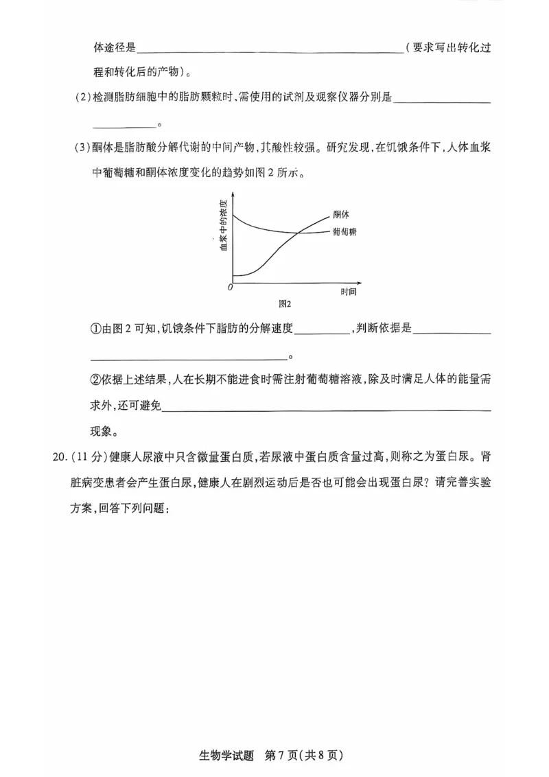 安徽省多校联盟2024-2025学年高一上学期10月月考生物试题_2024-2025高一（7-7月题库）_2024年10月试卷_1025安徽省多校联盟2024-2025学年高一上学期10月月考