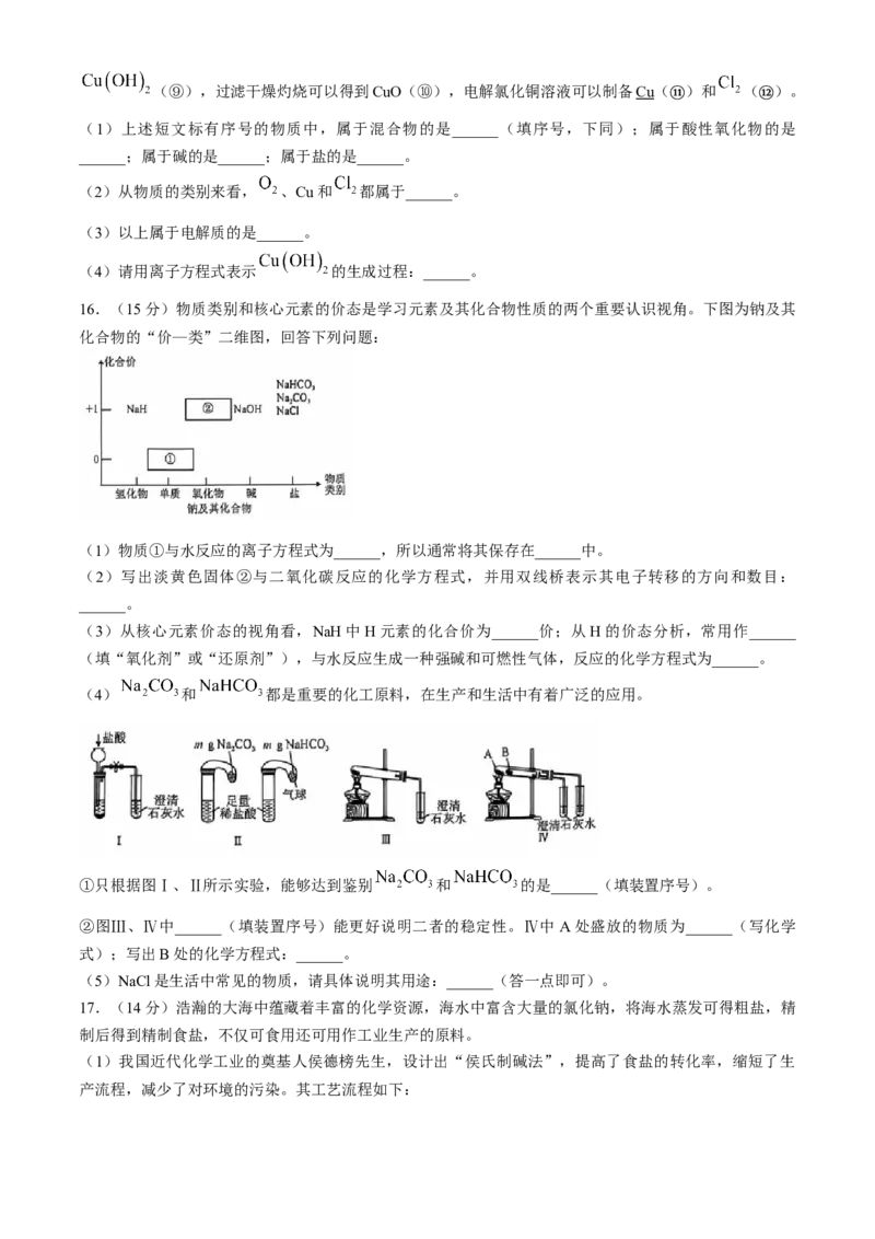 安徽省滁州市九校联考2024-2025学年高一上学期11月期中考试化学Word版含解析_2024-2025高一（7-7月题库）_2024年11月试卷_1124安徽省滁州市九校联考2024-2025学年高一上学期11月期中考试