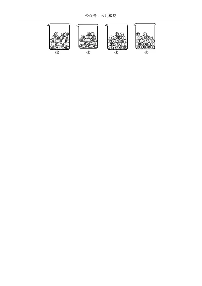 江苏省南京市江宁区2023-2024学年高一下学期6月期末考试生物试题含答案_2024-2025高一（7-7月题库）_2024年8月试卷_0824江苏省南京市江宁区2023-2024学年高一下学期期末考试