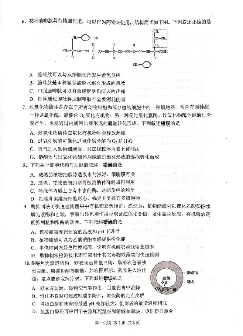 江苏省苏州市2024-2025学年高一上学期1月期末学业阳光指标调研试题生物PDF版无答案_2024-2025高一（7-7月题库）_2025年02月试卷