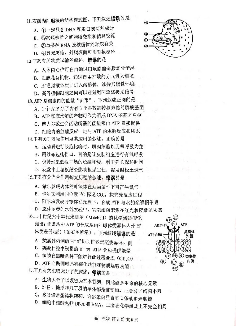 江苏省苏州市2024-2025学年高一上学期1月期末学业阳光指标调研试题生物PDF版无答案_2024-2025高一（7-7月题库）_2025年02月试卷