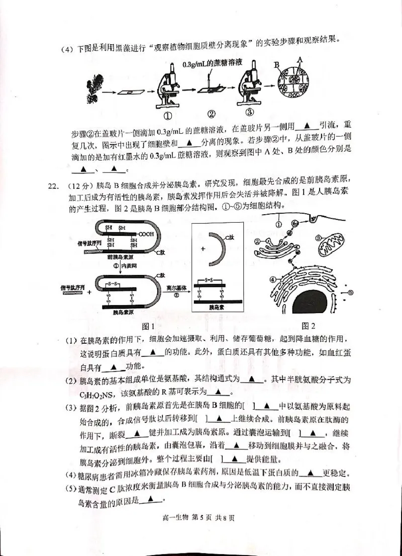 江苏省苏州市2024-2025学年高一上学期1月期末学业阳光指标调研试题生物PDF版无答案_2024-2025高一（7-7月题库）_2025年02月试卷