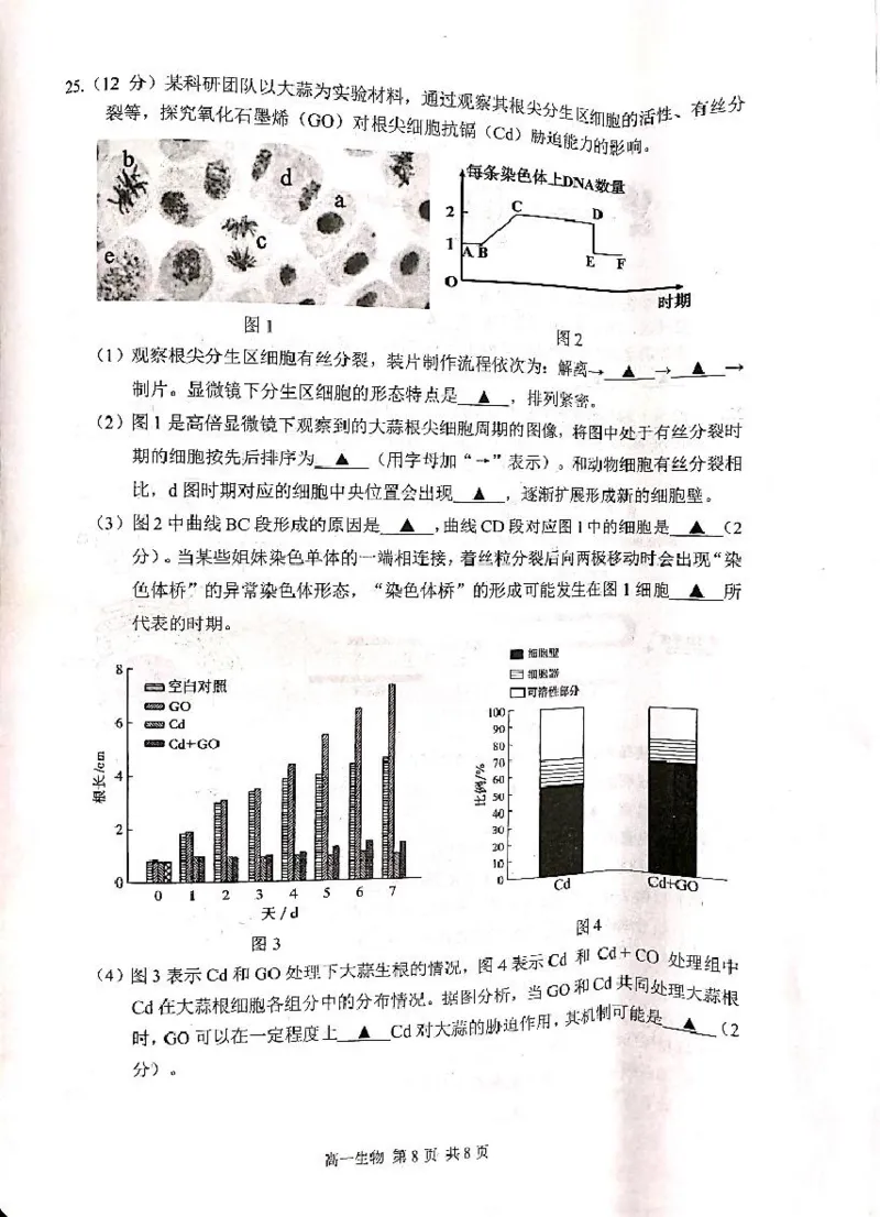 江苏省苏州市2024-2025学年高一上学期1月期末学业阳光指标调研试题生物PDF版无答案_2024-2025高一（7-7月题库）_2025年02月试卷